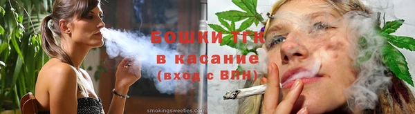 гидропоника Рославль