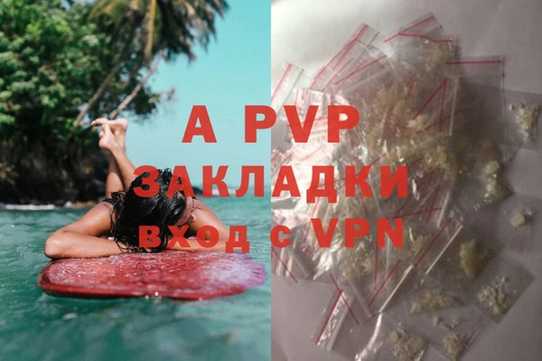 твердый Алзамай